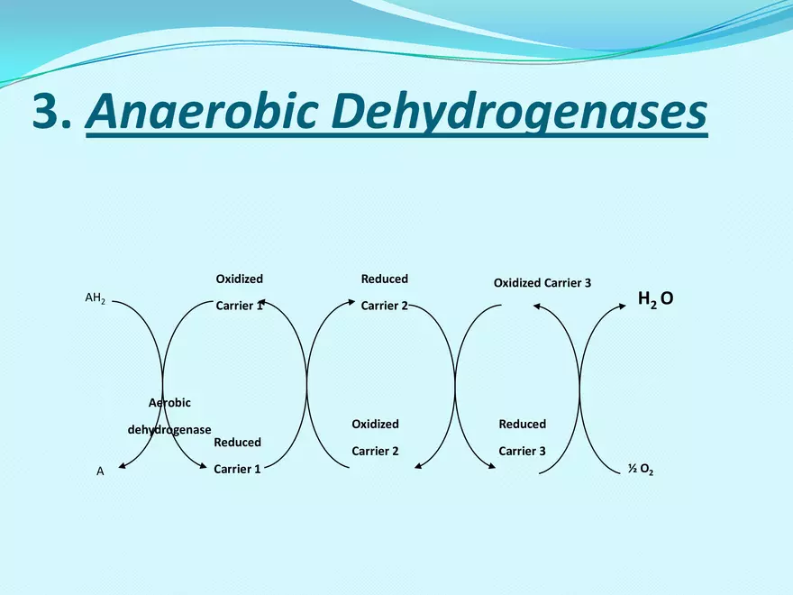 Biological Oxidation - Page 48