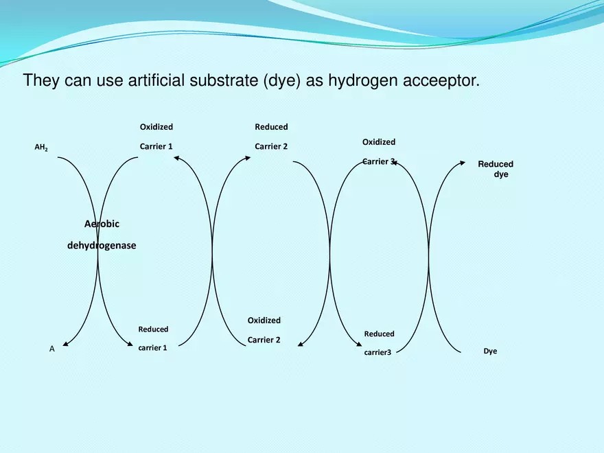 Biological Oxidation - Page 49