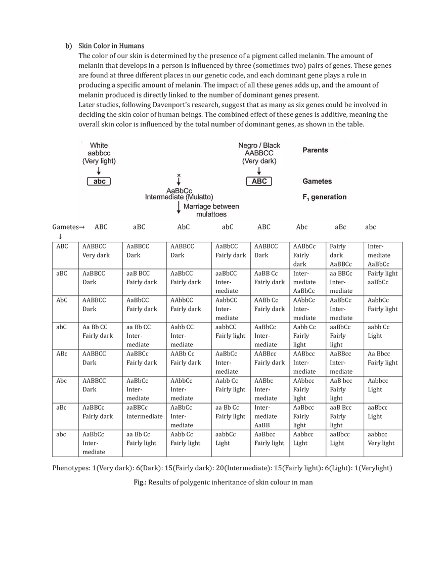Polygenic Inheritance or Quantitative Inheritance - Page 2