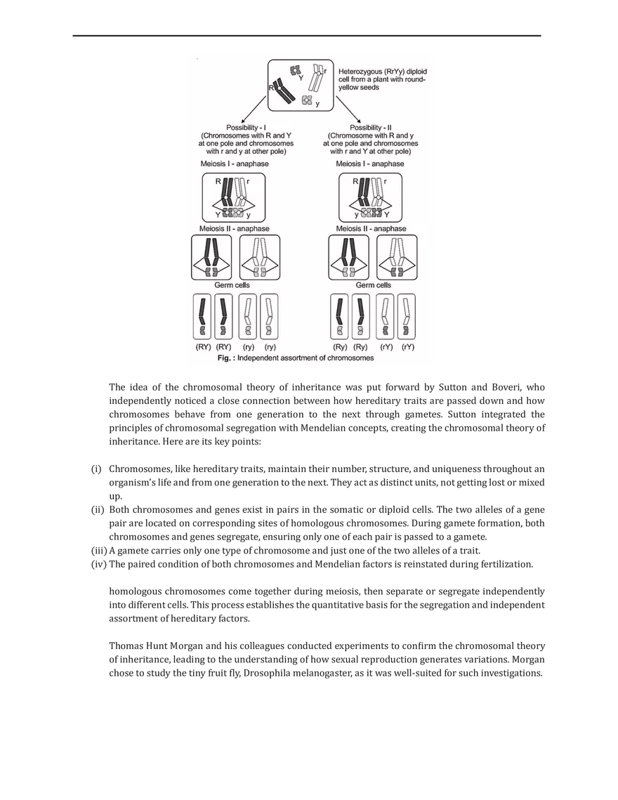 Polygenic Inheritance or Quantitative Inheritance - Page 5