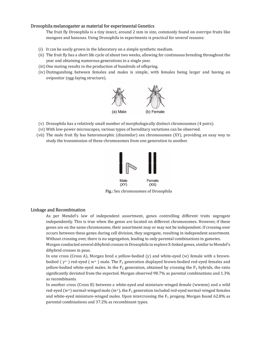 Polygenic Inheritance or Quantitative Inheritance - Page 6