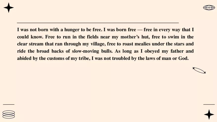 Nelson Mandela Long Walk to Freedom - Page 14