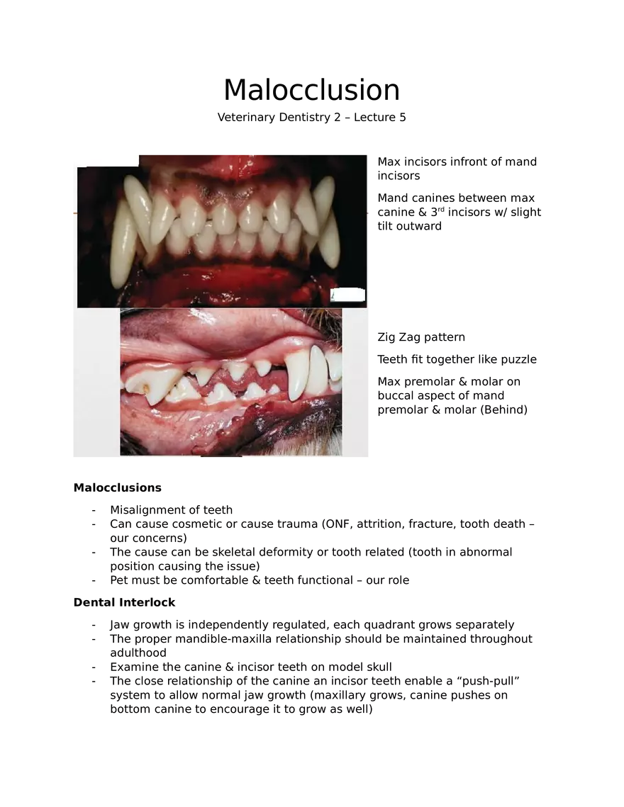 Malocclusion - Page 1