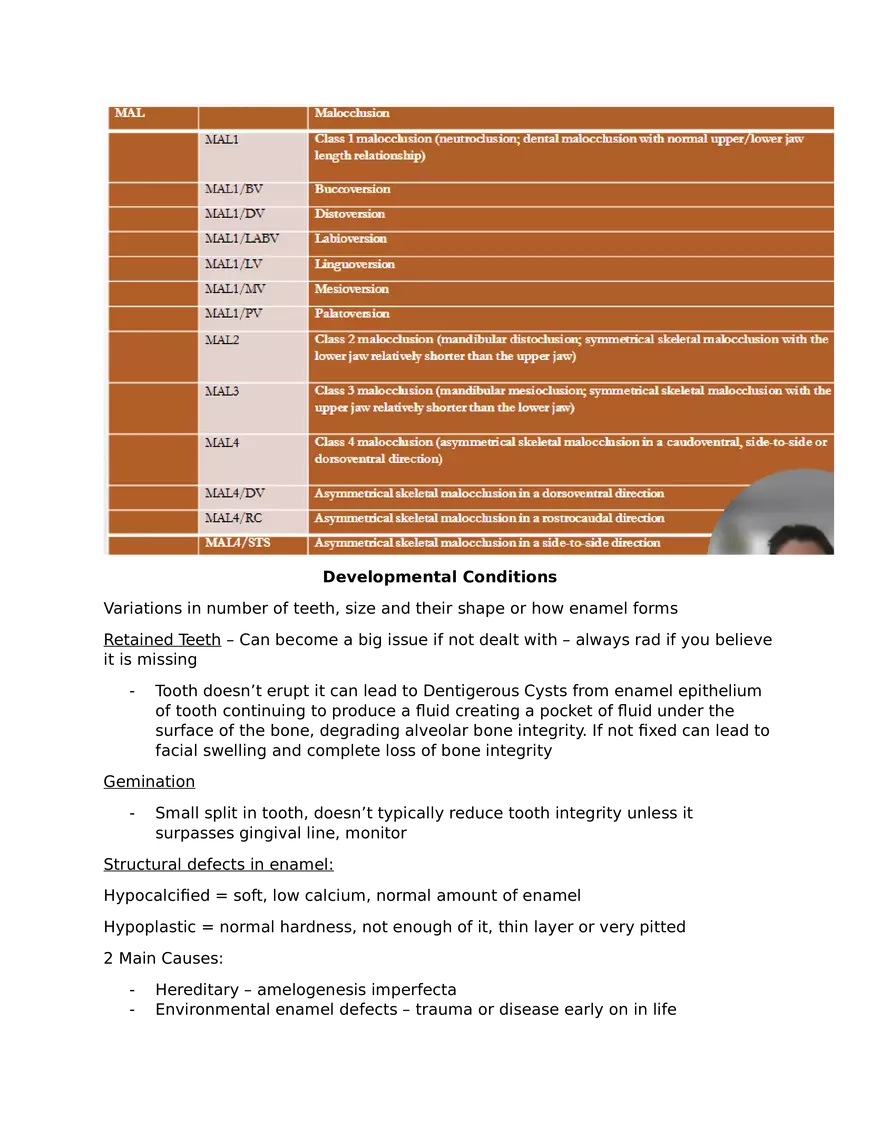 Malocclusion - Page 4