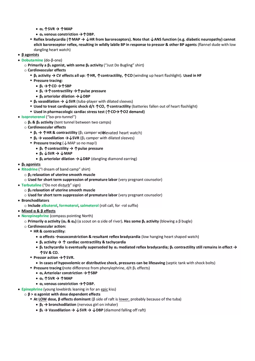 One Epic Summer  Band Camp  Direct Sympathomimetics - Page 2