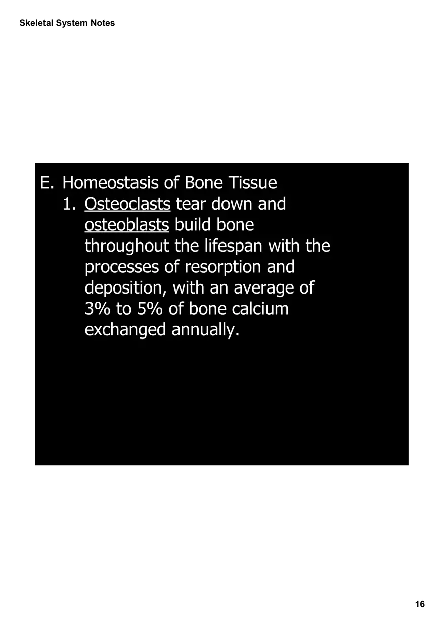 Skeletal System Notes - Page 8