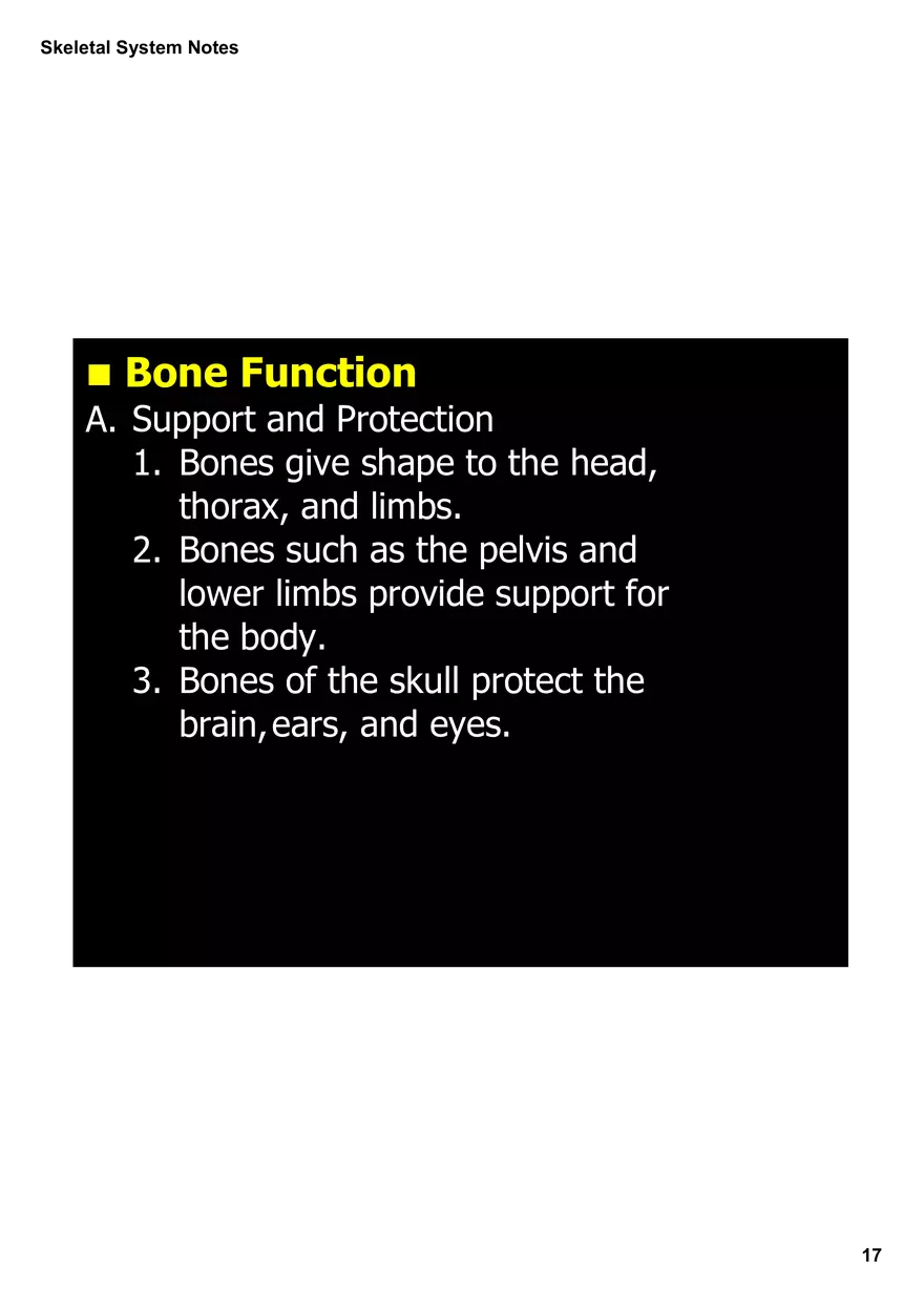 Skeletal System Notes - Page 9