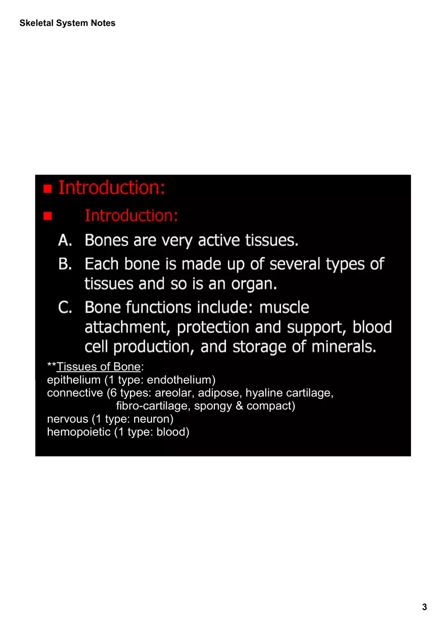 Skeletal System Notes - Page 13