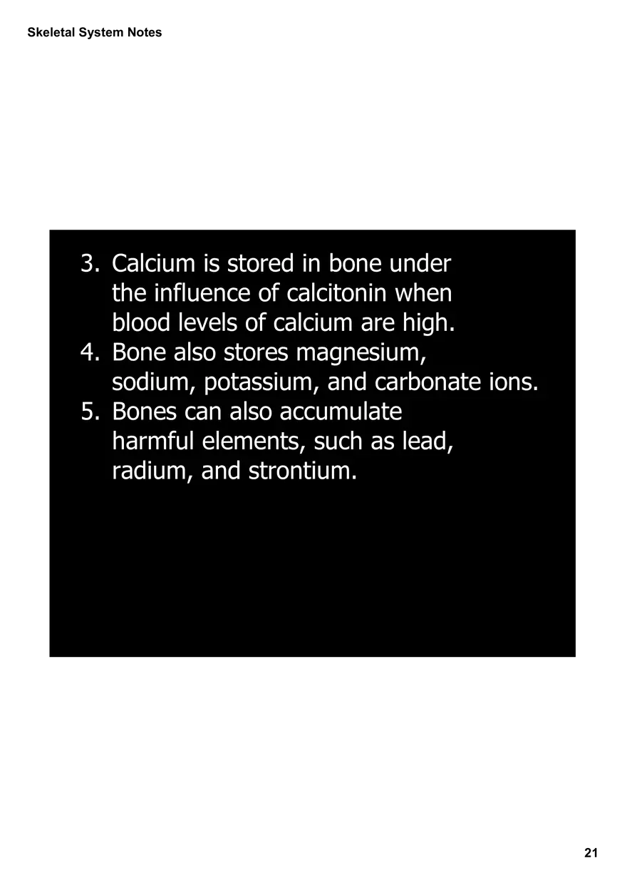 Skeletal System Notes - Page 14