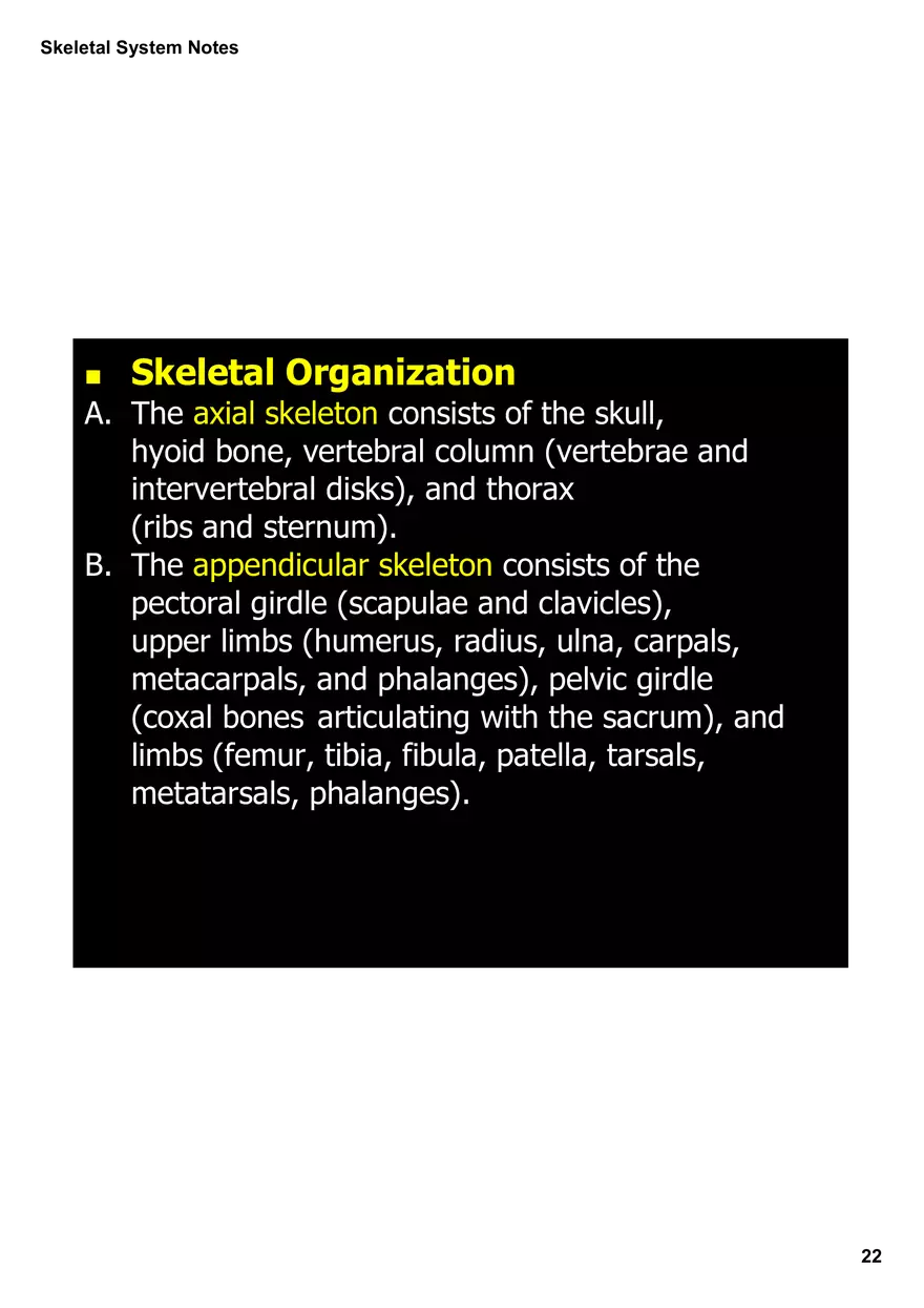 Skeletal System Notes - Page 15