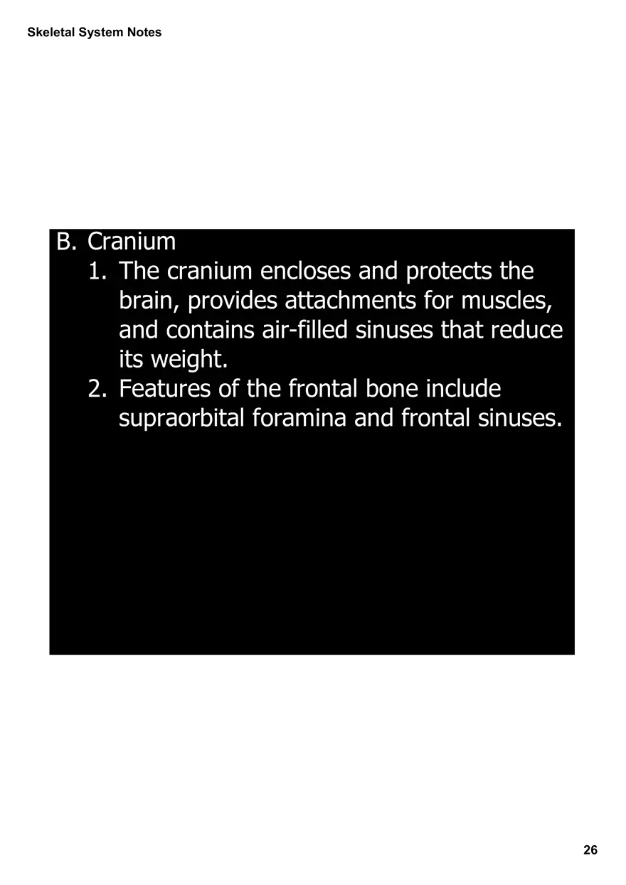 Skeletal System Notes - Page 19