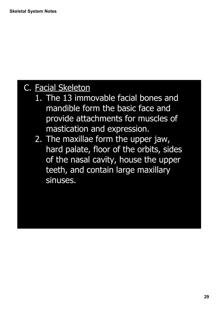 Skeletal System Notes - Page 22