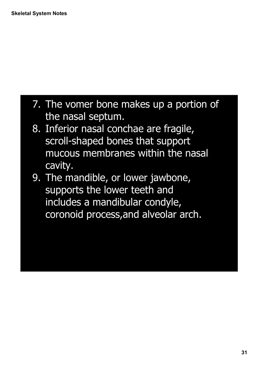 Skeletal System Notes - Page 25