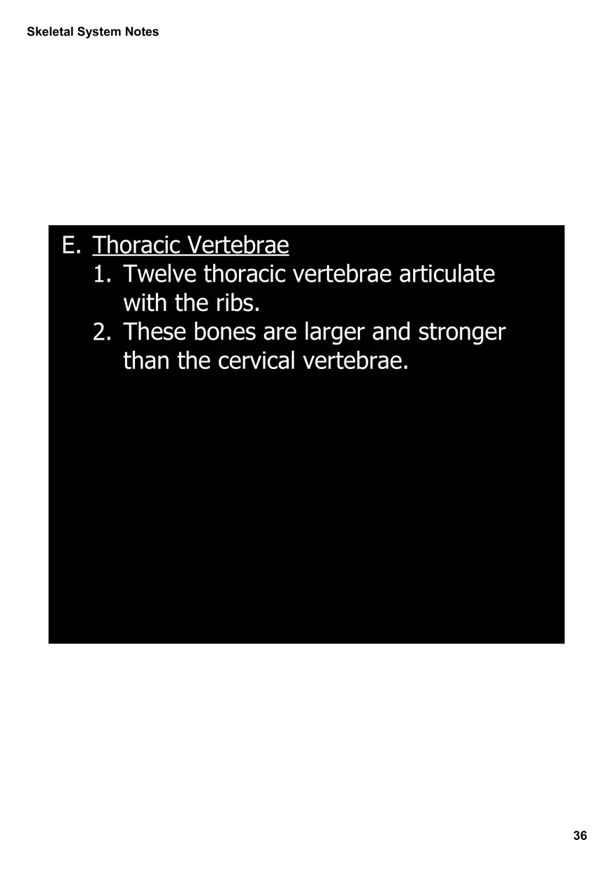 Skeletal System Notes - Page 30