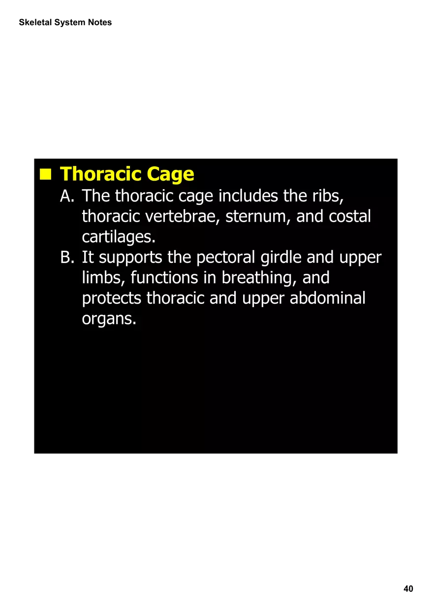 Skeletal System Notes - Page 34