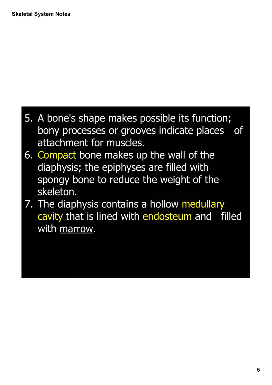 Skeletal System Notes - Page 35