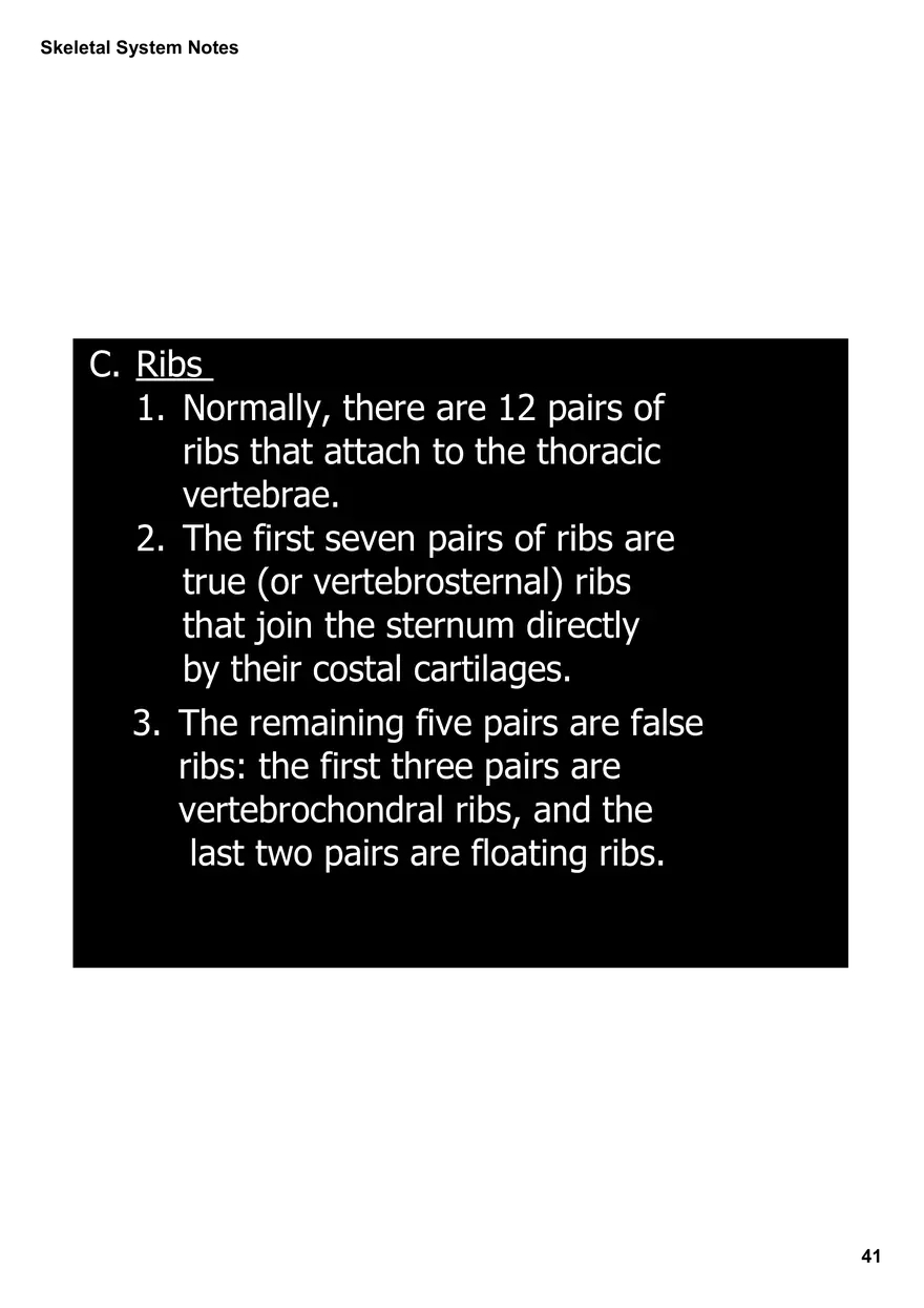 Skeletal System Notes - Page 36