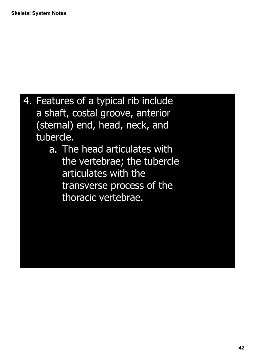 Skeletal System Notes - Page 37