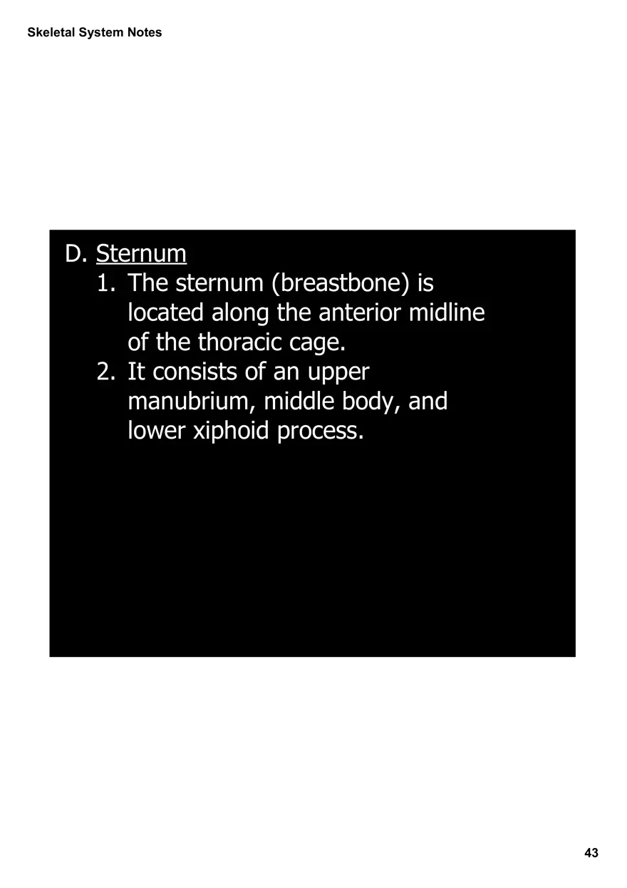 Skeletal System Notes - Page 38