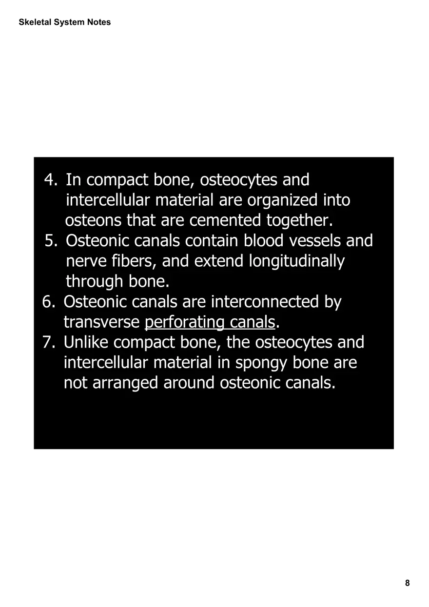 Skeletal System Notes - Page 42