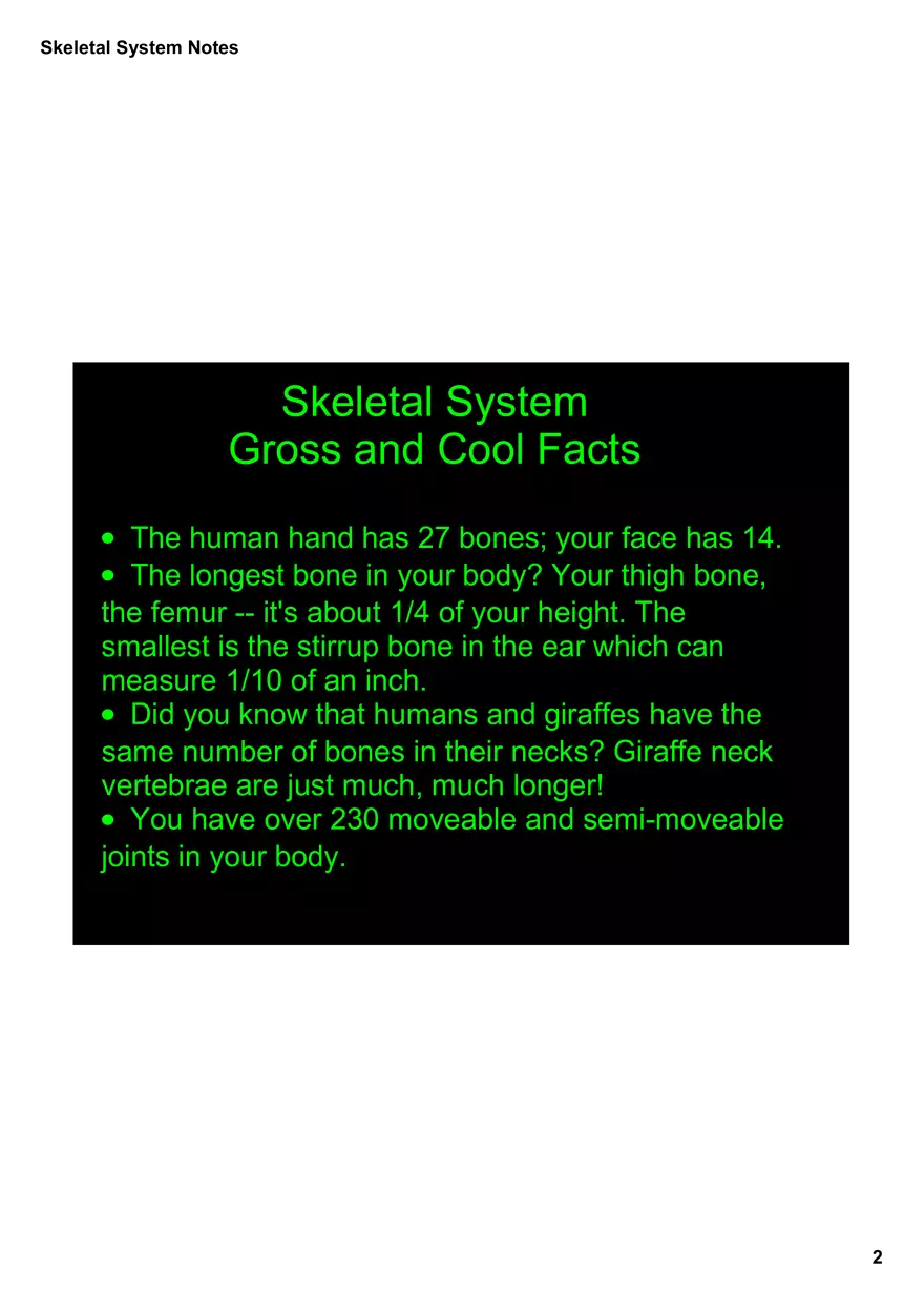 Skeletal System Notes - Page 2