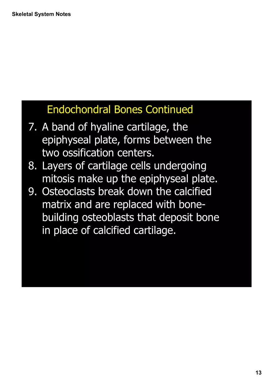 Skeletal System Notes - Page 5