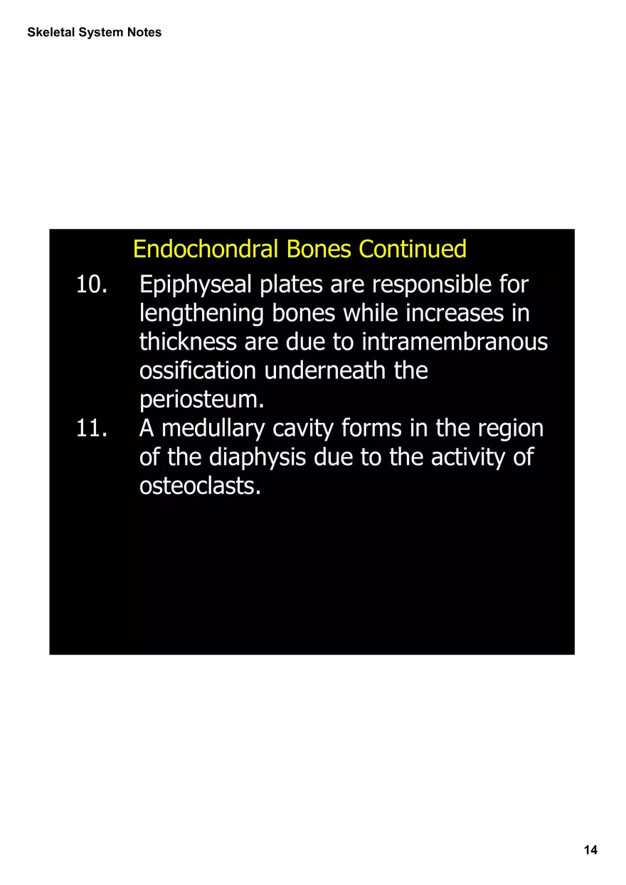 Skeletal System Notes - Page 6