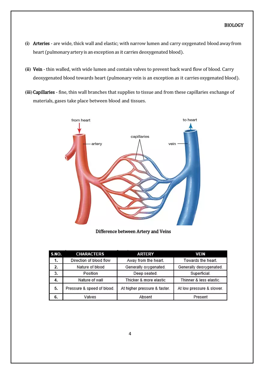 Transportation in Human (Blood Vasculatory System) - Page 4