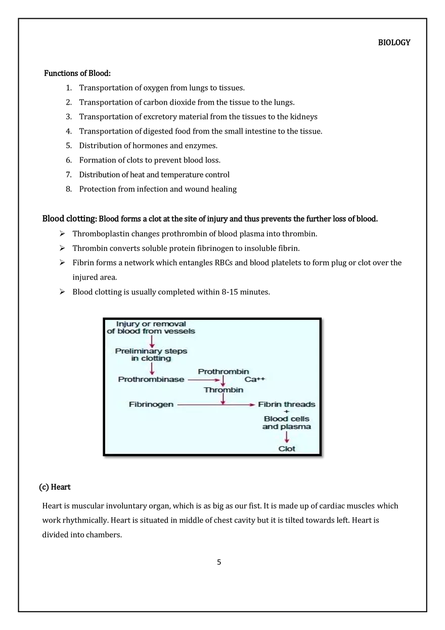 Transportation in Human (Blood Vasculatory System) - Page 5