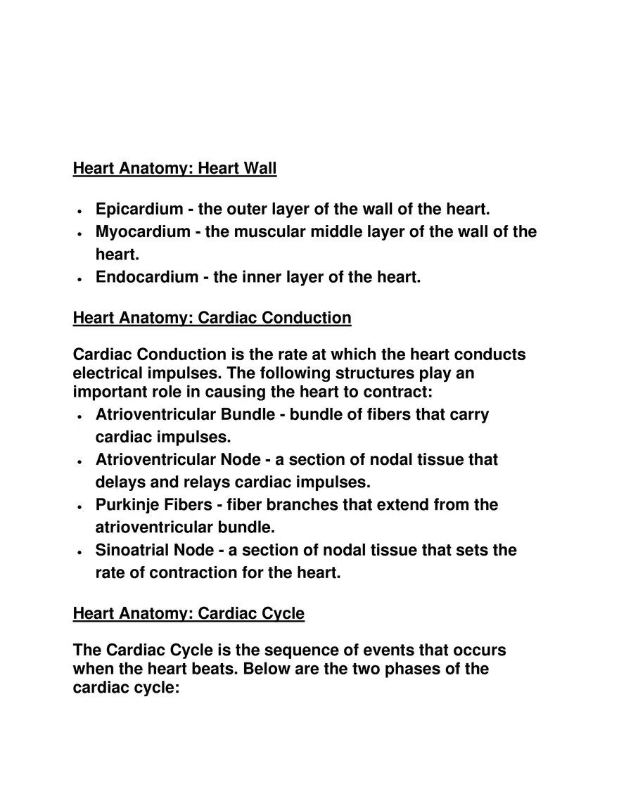 Explain the Anatomy of the Human Heart - Page 2