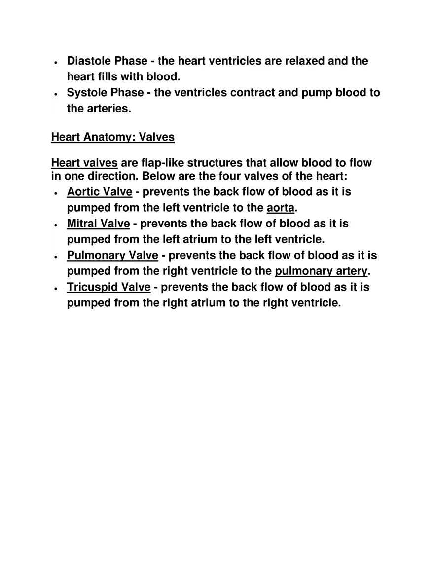 Explain the Anatomy of the Human Heart - Page 3