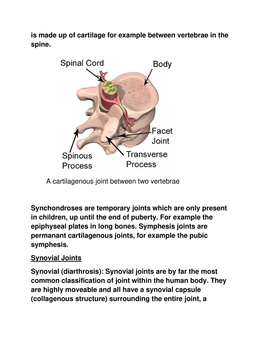 Explain the Different Types of Joints with Example - Page 2