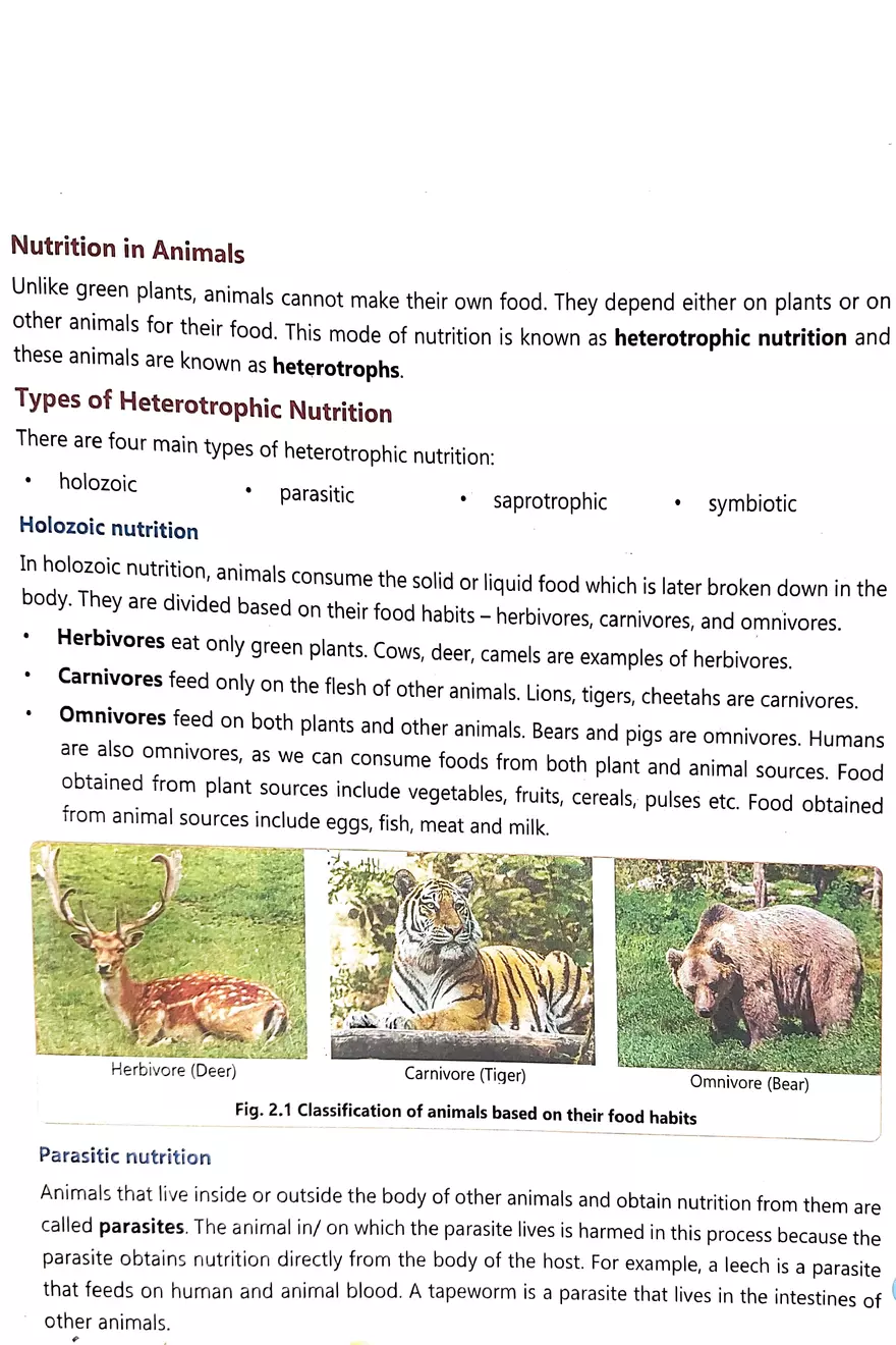Nutrition in Animals - Page 1