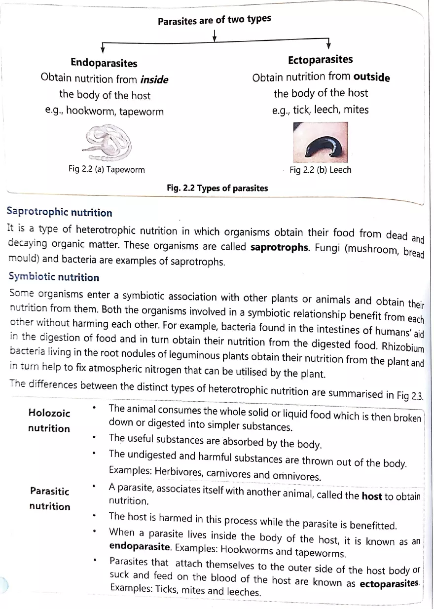 Nutrition in Animals - Page 2