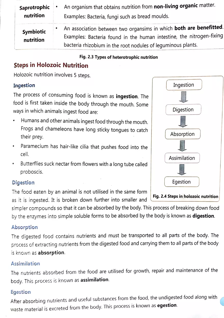 Nutrition in Animals - Page 3