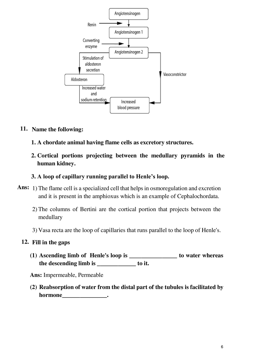 Excretory Products &Their Elimination - Page 6