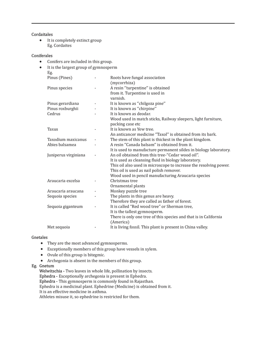 Gymnosperms - Page 7