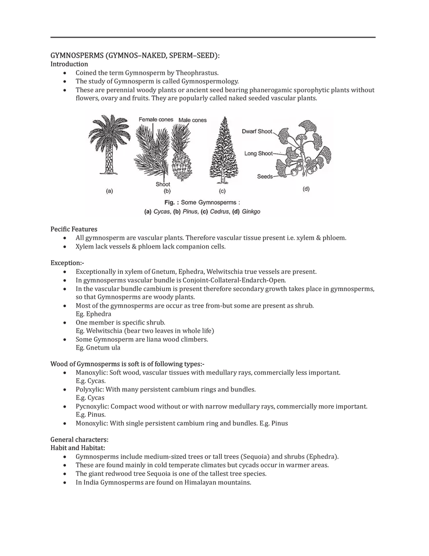 Gymnosperms - Page 1