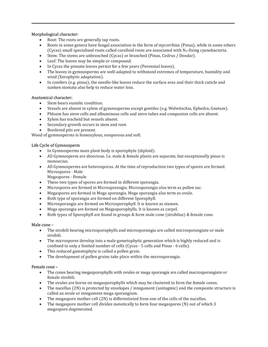 Gymnosperms - Page 2