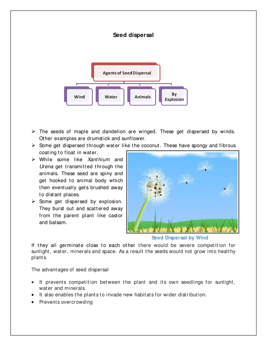 Ch-12 Reproduction in Flowering Plants - Page 7
