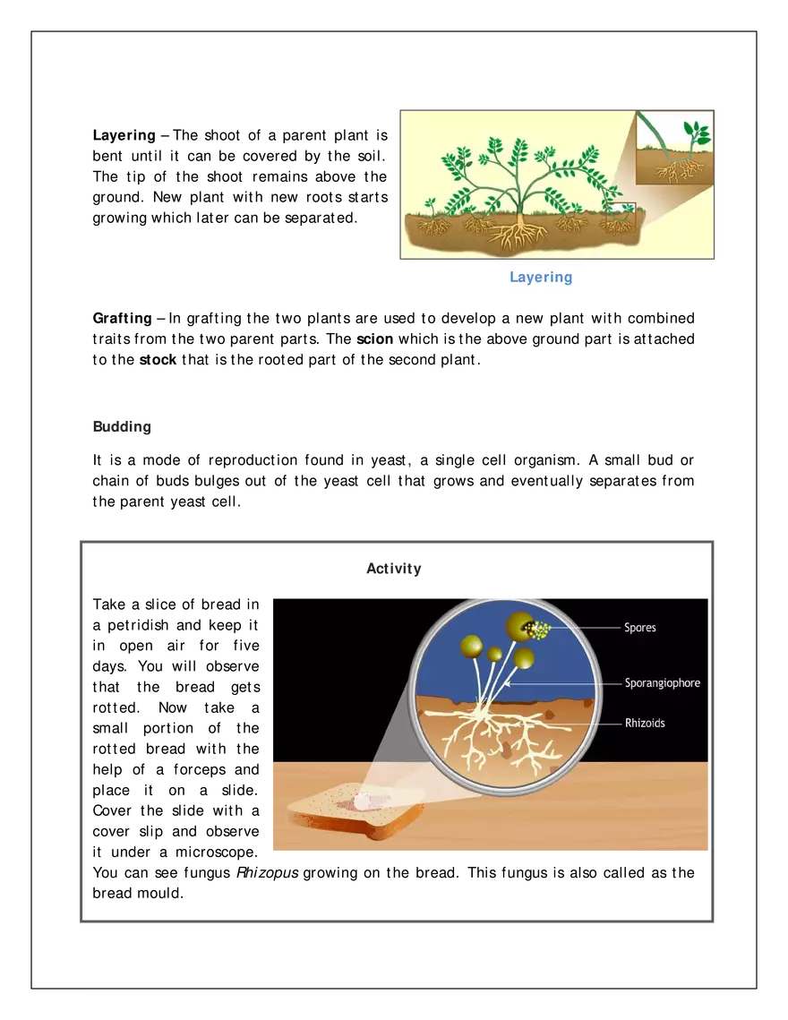 Ch-12 Reproduction in Flowering Plants - Page 3