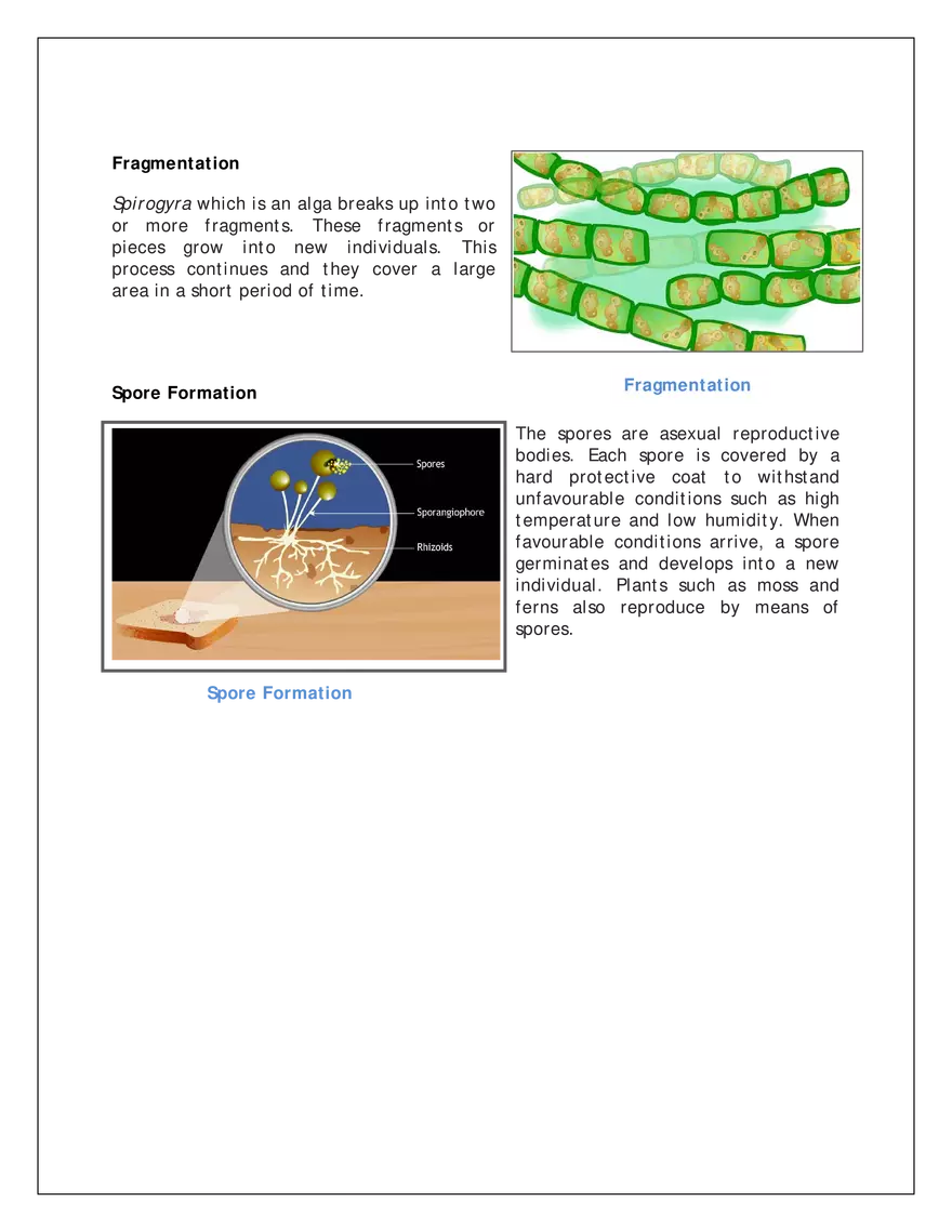 Ch-12 Reproduction in Flowering Plants - Page 4