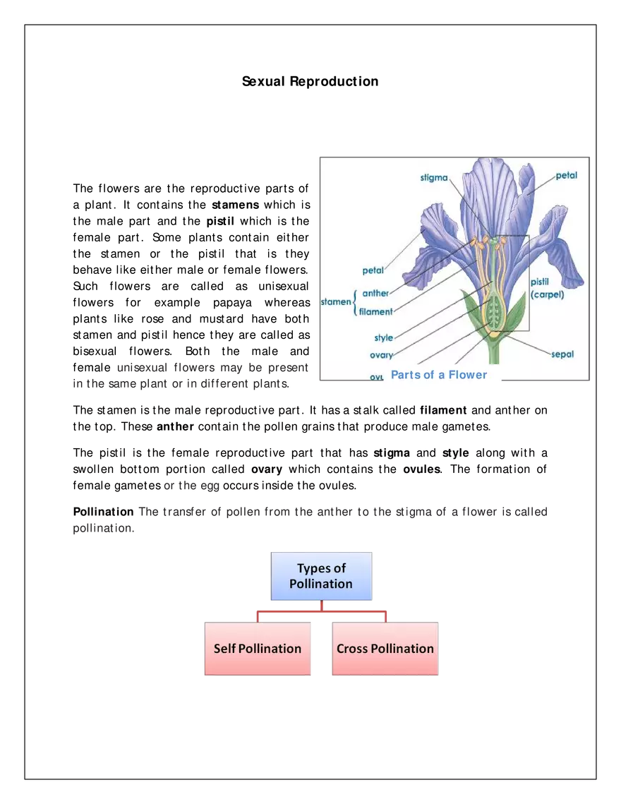 Ch-12 Reproduction in Flowering Plants - Page 5