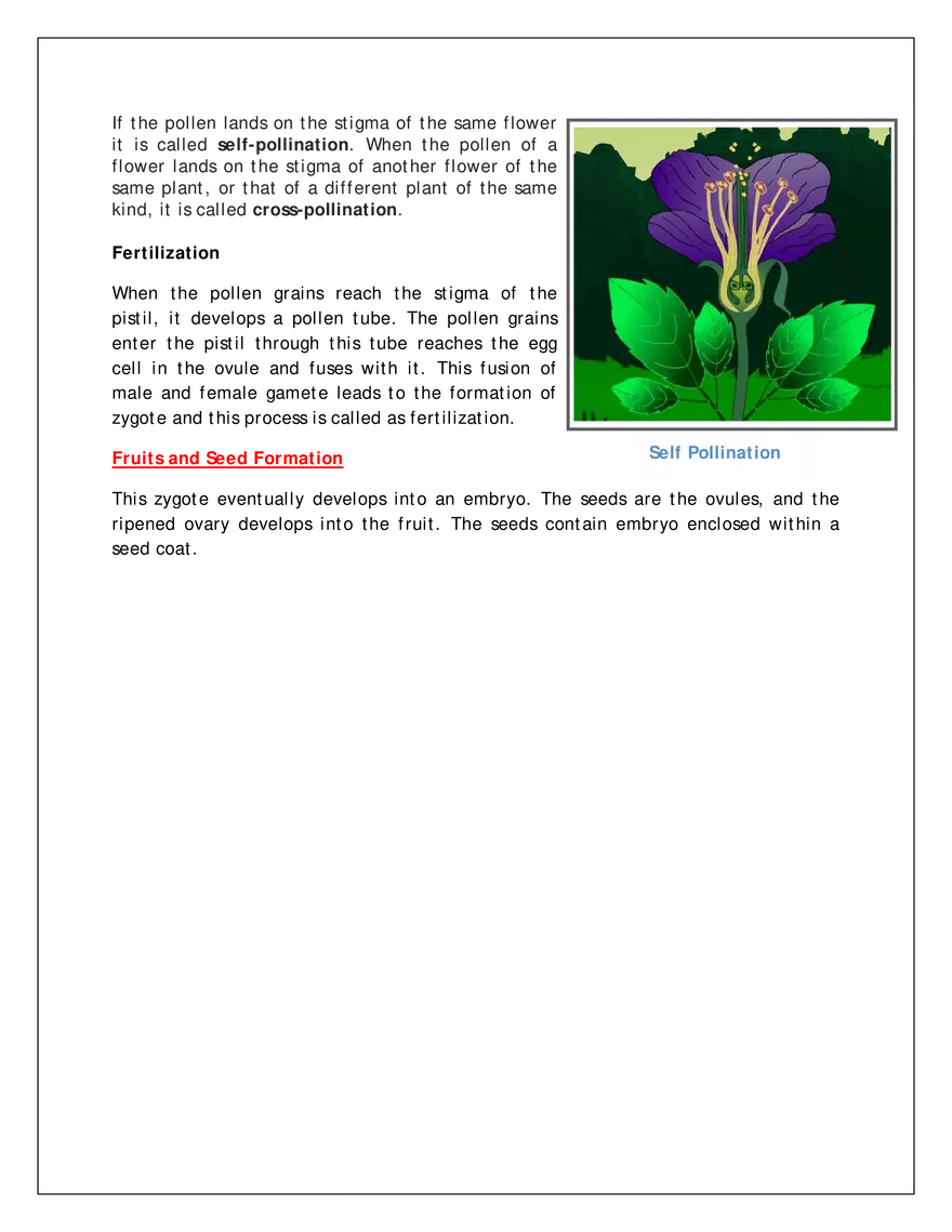 Ch-12 Reproduction in Flowering Plants - Page 6
