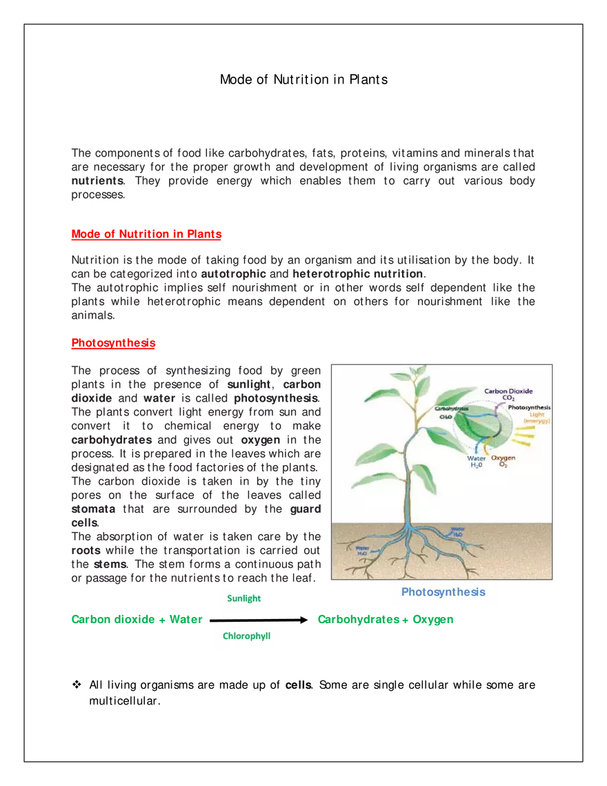 Ch-1 Nutrition in Plants - Page 2