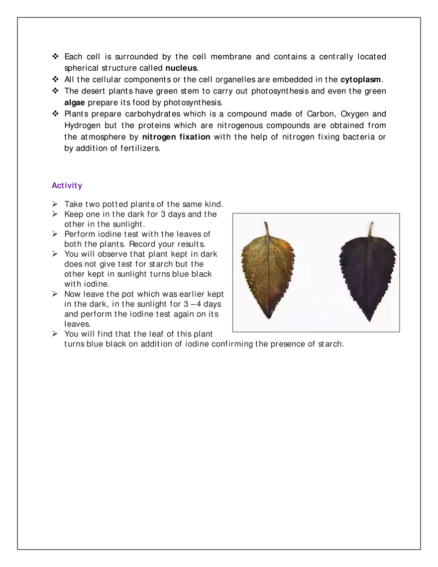 Ch-1 Nutrition in Plants - Page 3