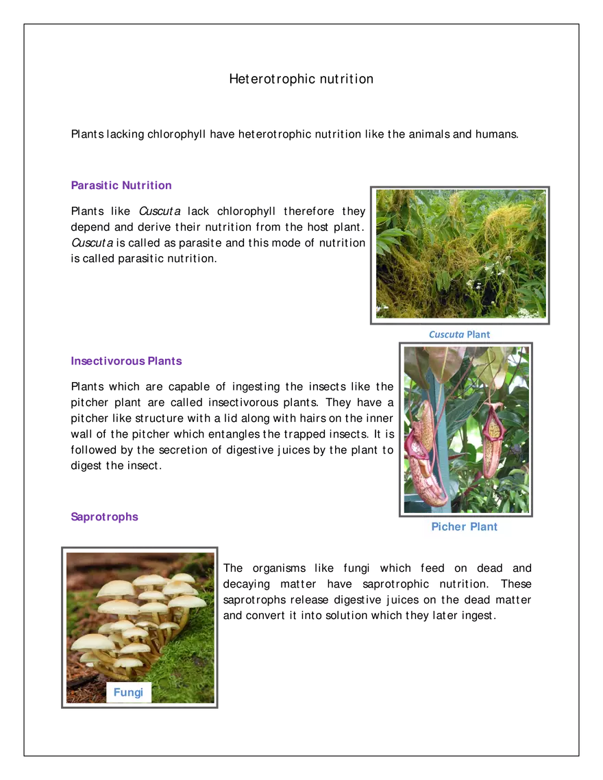Ch-1 Nutrition in Plants - Page 4