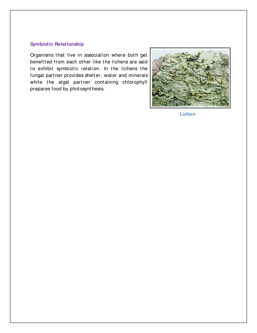 Ch-1 Nutrition in Plants - Page 5