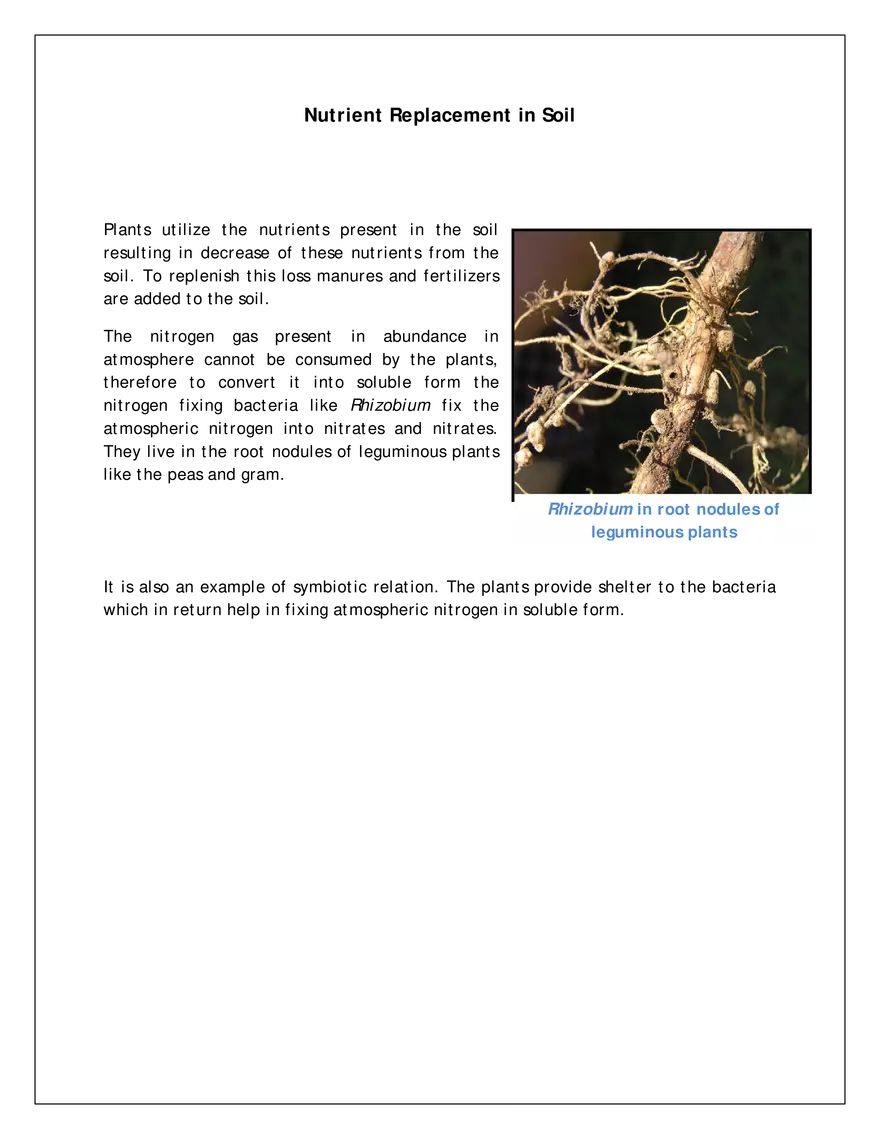 Ch-1 Nutrition in Plants - Page 6