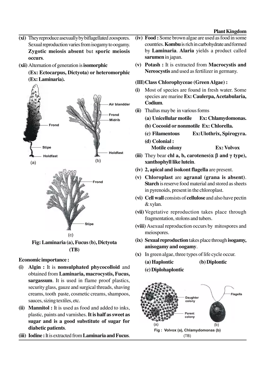 Plant Kingdom - Page 9
